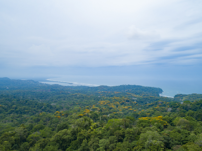 0 bed Land For Sale in Ojochal, Puntarenas - 1